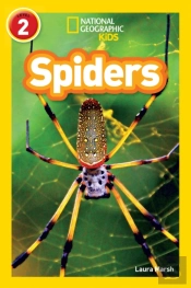 Spiders