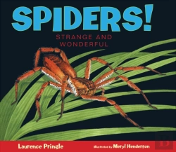 Bertrand.pt - Spiders!