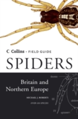 Bertrand.pt - Spiders Of Britain And Northern Europe