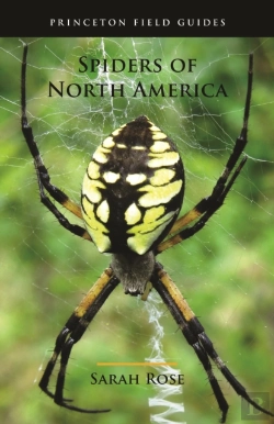 Bertrand.pt - Spiders Of North America