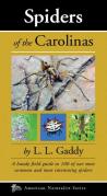 Spiders Of The Carolinas