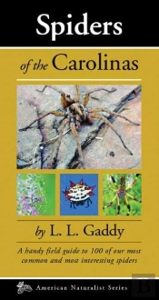 Spiders Of The Carolinas