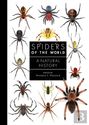 Spiders Of The World