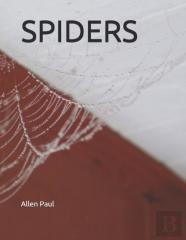 Spiders