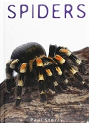Spiders