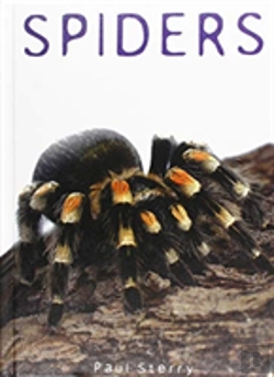 Bertrand.pt - Spiders
