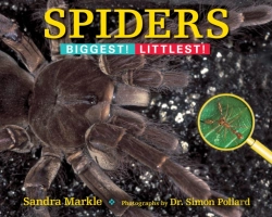 Bertrand.pt - Spiders