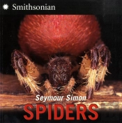 Spiders