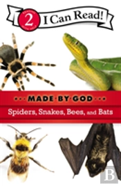 Spiders, Snakes, Bees, And Bats