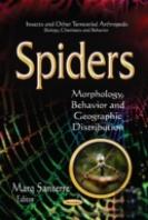 Spiders