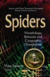 Spiders