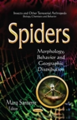 Bertrand.pt - Spiders