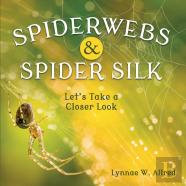 Spiderwebs And Spider Silk