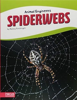 Bertrand.pt - Spiderwebs