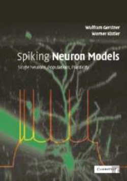 Bertrand.pt - Spiking Neuron Models