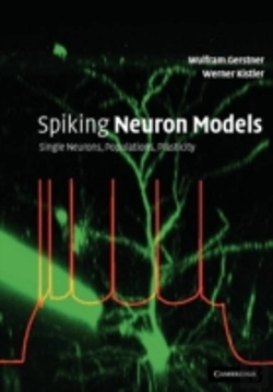 Bertrand.pt - Spiking Neuron Models