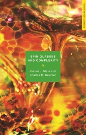 Spin Glasses And Complexity