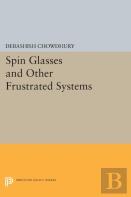 Spin Glasses And Other Frustrated Systems