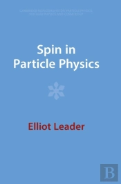Spin In Particle Physics