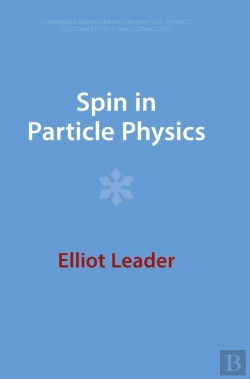 Bertrand.pt - Spin In Particle Physics