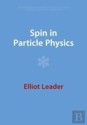 Spin In Particle Physics