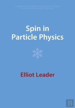 Bertrand.pt - Spin In Particle Physics