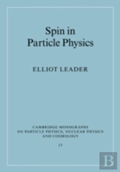 Spin In Particle Physics