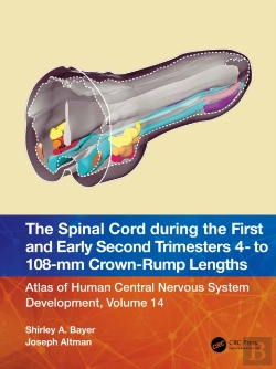 Bertrand.pt - Spinal Cord During The First And Early Second Trimesters 4- To 108-Mm Crown-Rump Lengths