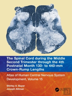 Bertrand.pt - Spinal Cord During The Middle Second Trimester Through The 4th Postnatal Month 130- To 440-Mm Crown-Rump Lengths