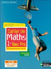 Spirales : Cahier De Maths 1re Bac Pro - Groupements A Et B (Spirales) - Livre + Licence Élève - 2020