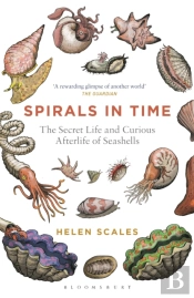 Spirals In Time