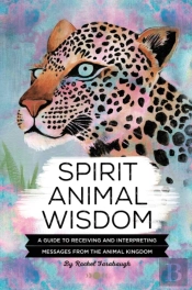 Spirit Animal Wisdom