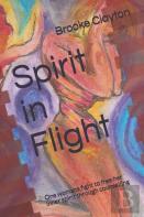 Spirit In Flight