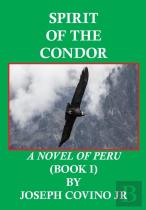 Spirit Of The Condor