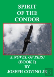 Spirit Of The Condor