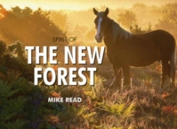 Bertrand.pt - Spirit Of The New Forest