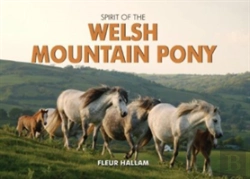 Bertrand.pt - Spirit Of The Welsh Mountain Pony