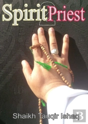 Spirit Priest 2