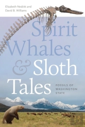 Spirit Whales And Sloth Tales