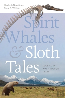 Bertrand.pt - Spirit Whales And Sloth Tales