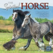 Spirited Horse The