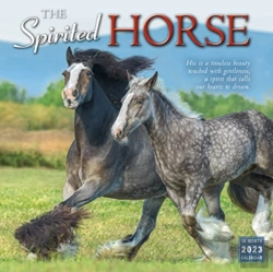 Bertrand.pt - Spirited Horse The