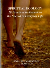 Spiritual Ecology
