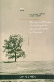 Spiritual Wisdom Of Gospels For Christian Preachers And Teachers