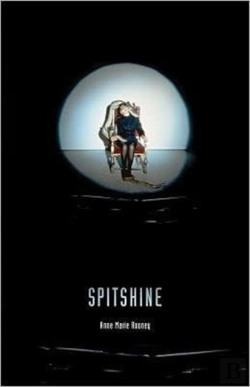Bertrand.pt - Spitshine