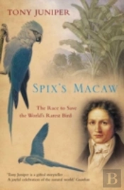 Spixâ€™S Macaw