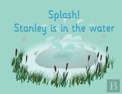 Splash! Stanley Is In The Water
