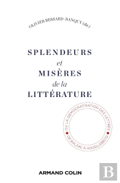 Splendeurs Et Misères De La Littérature : De La Démocratisation Des Lettres