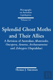 Splendid Ghost Moths And Their Allies