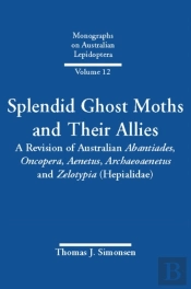 Splendid Ghost Moths And Their Allies